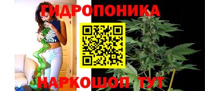 гидра Жуковский